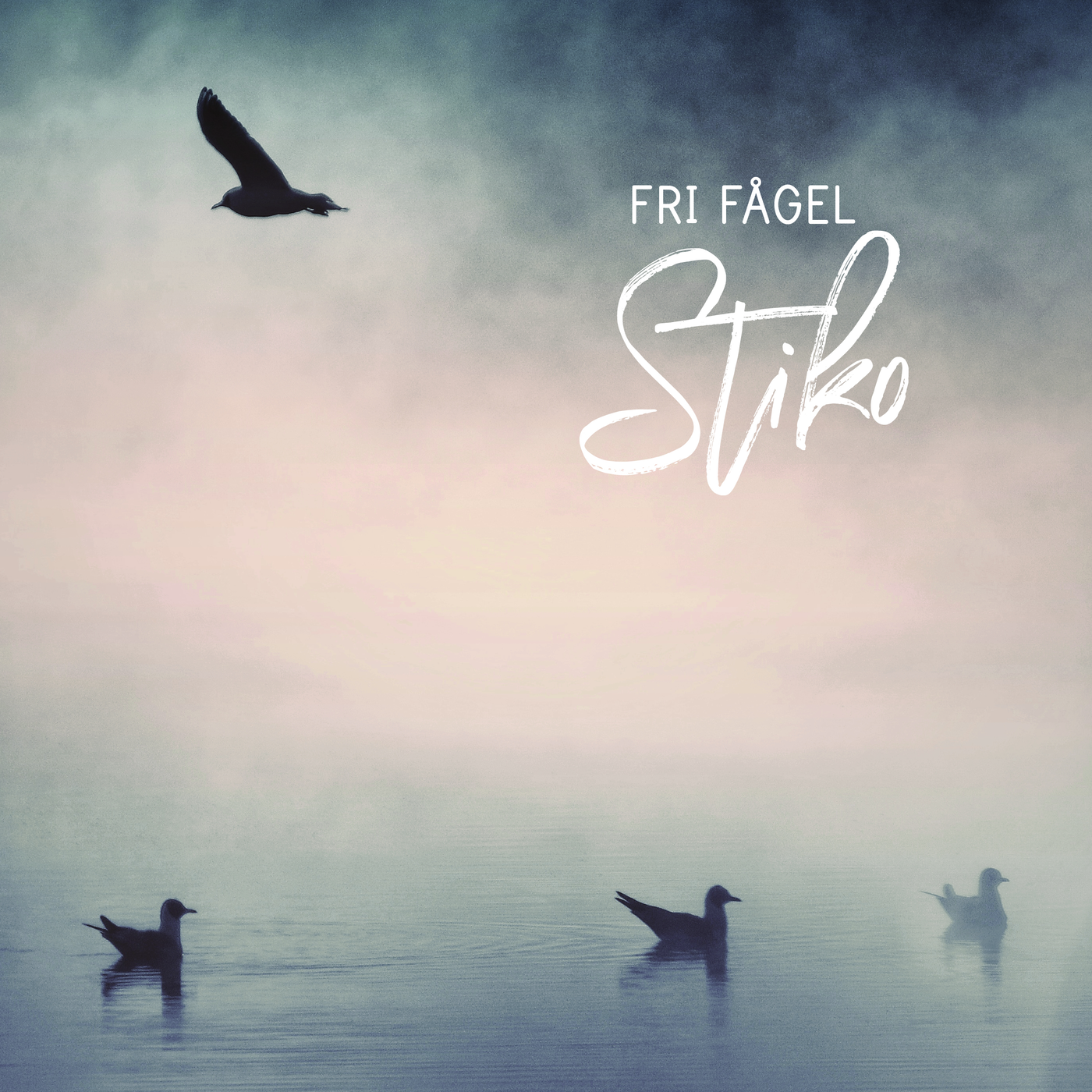 Stiko Per Larsson - Fri fågel