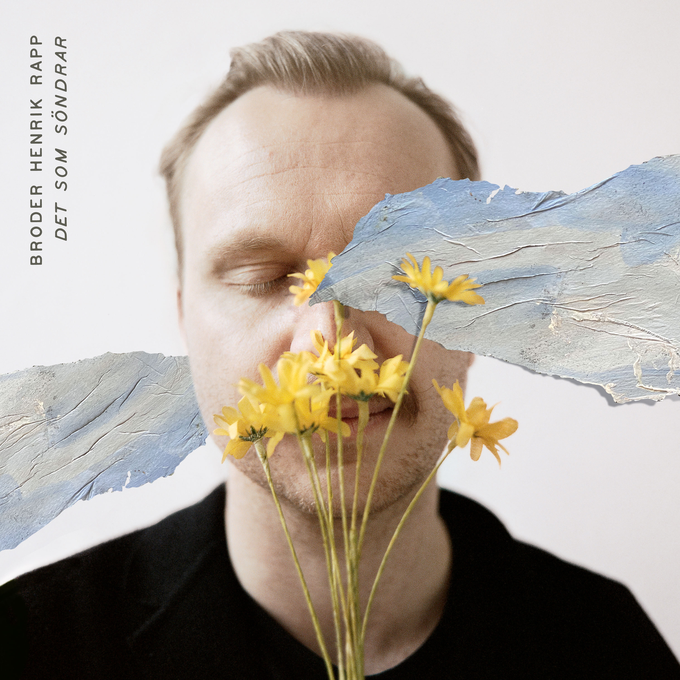 Broder Henrik Rapp - Det som söndrar
