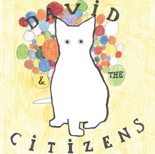 David and the Citizens - 1999 – 2005 (DVD)