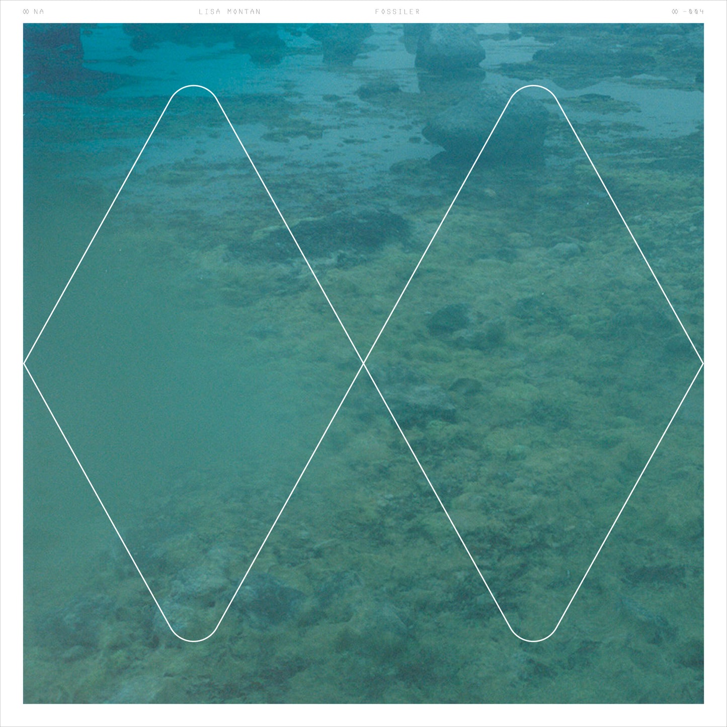 Lisa Montan – Fossils