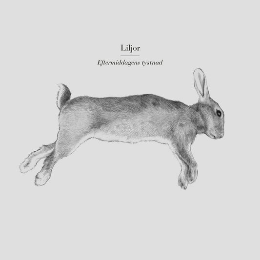 Lilies - Afternoon Silence