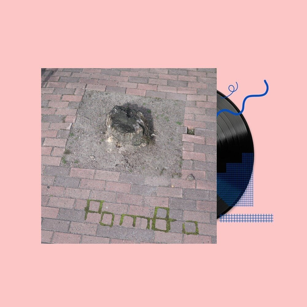 Pombo - Bruises