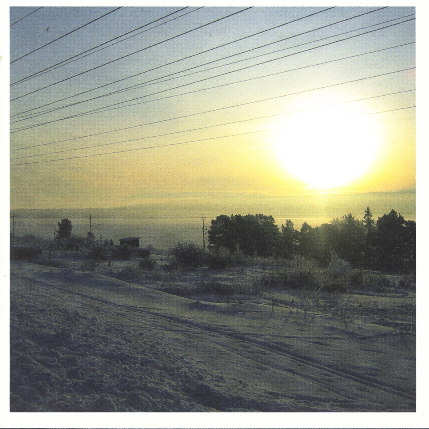 Vapnet – Thoméegränd