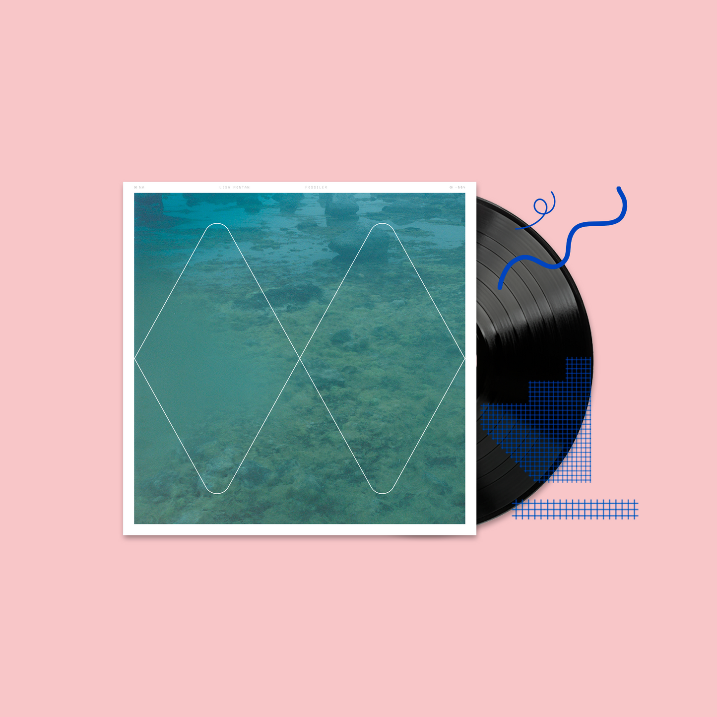 Lisa Montan – Fossils