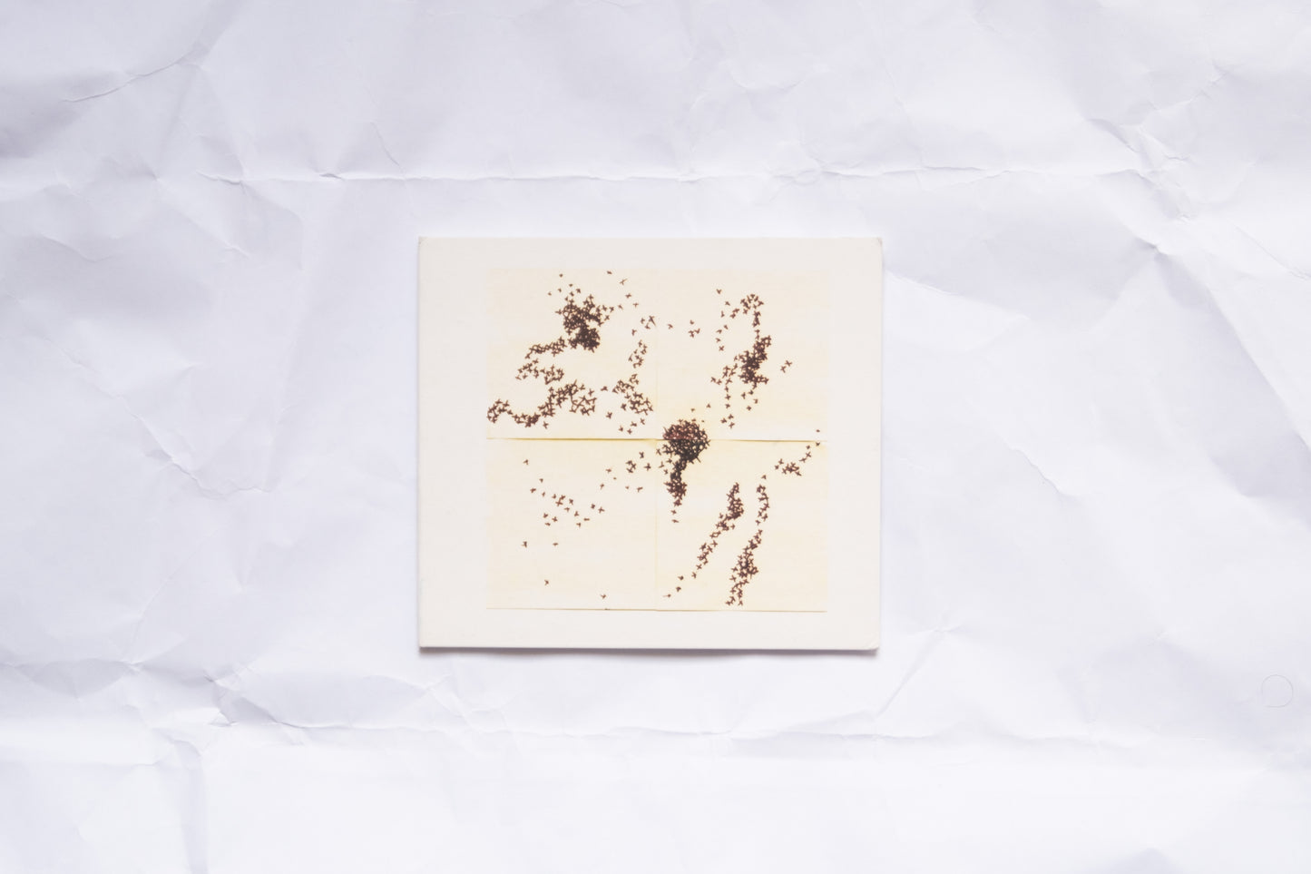 Tegn - Tegn CD