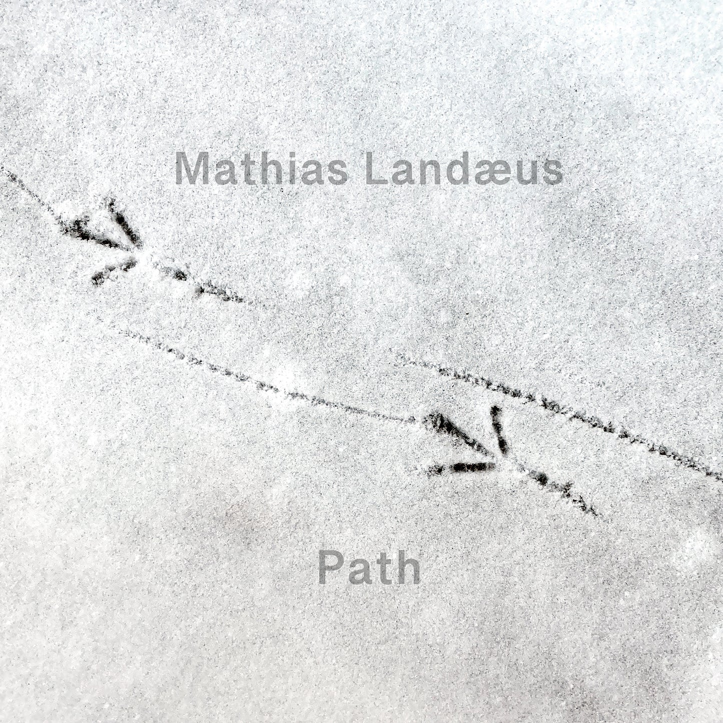 Mathias Landæus - Path