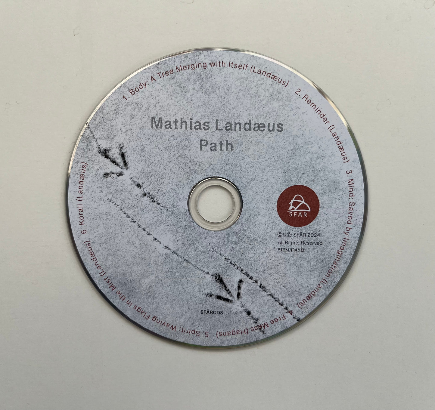 Mathias Landæus - Path
