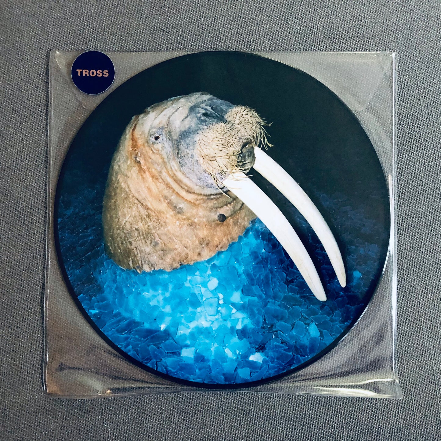 Tross – The Walrus EP