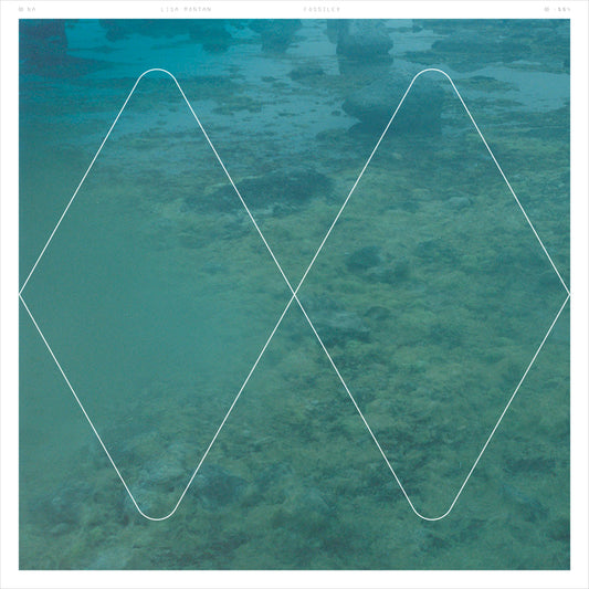 Lisa Montan – Fossils